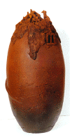 Ceramics-Red_Oxide_Urn_.gif (43152 bytes)